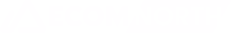 Ecom North logo